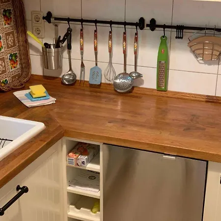 Am Luisenpark Apartment Erfurt