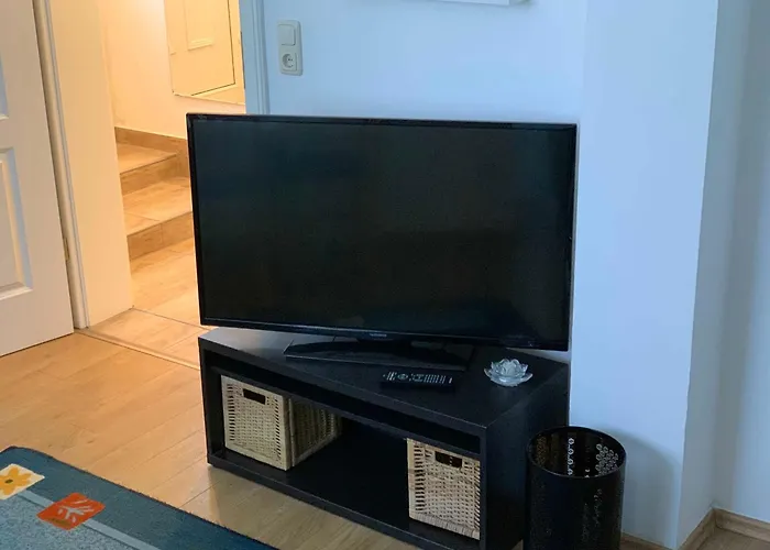 Apartment Am Luisenpark *